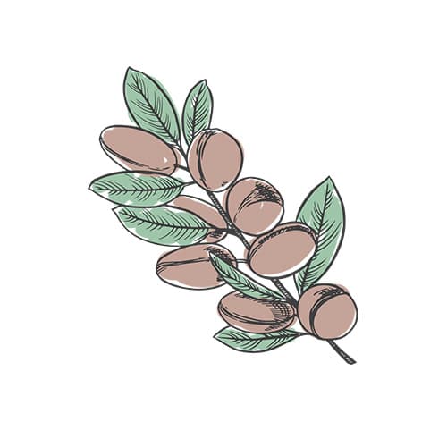 Argan