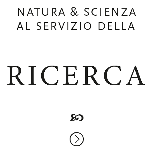 ricerca