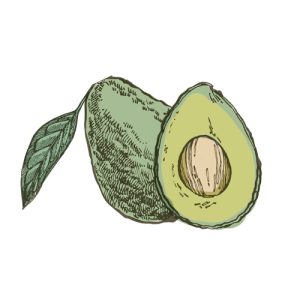 avocado