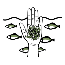 NO-ALLE-MICROPLASTICHE